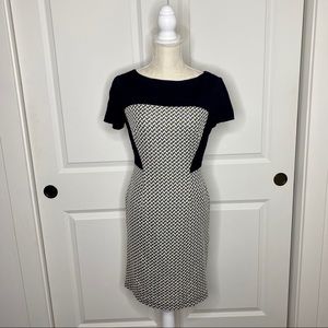 ADRIANNA PAPELL BLACK AND WHITE CAP SLEEVE DRESS